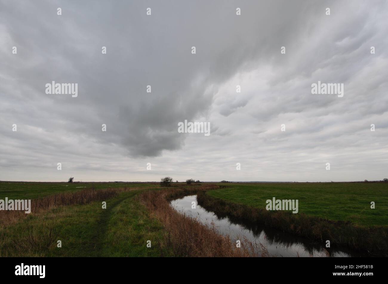 Auf Halvergate Sümpfe entlang der Weaver's Way Fernweg, Norfolk Broads, England, Großbritannien Stockfoto