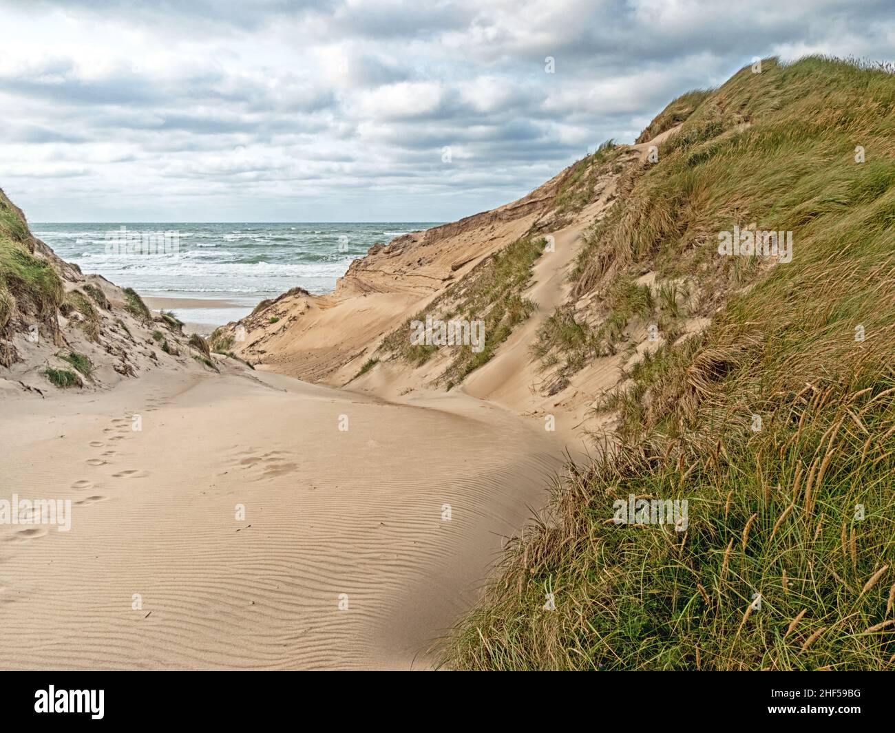 Zugang zum Strand in den Dünen an der dänischen Nordseeküste in Jütland bei Norre Vorupor Stockfoto