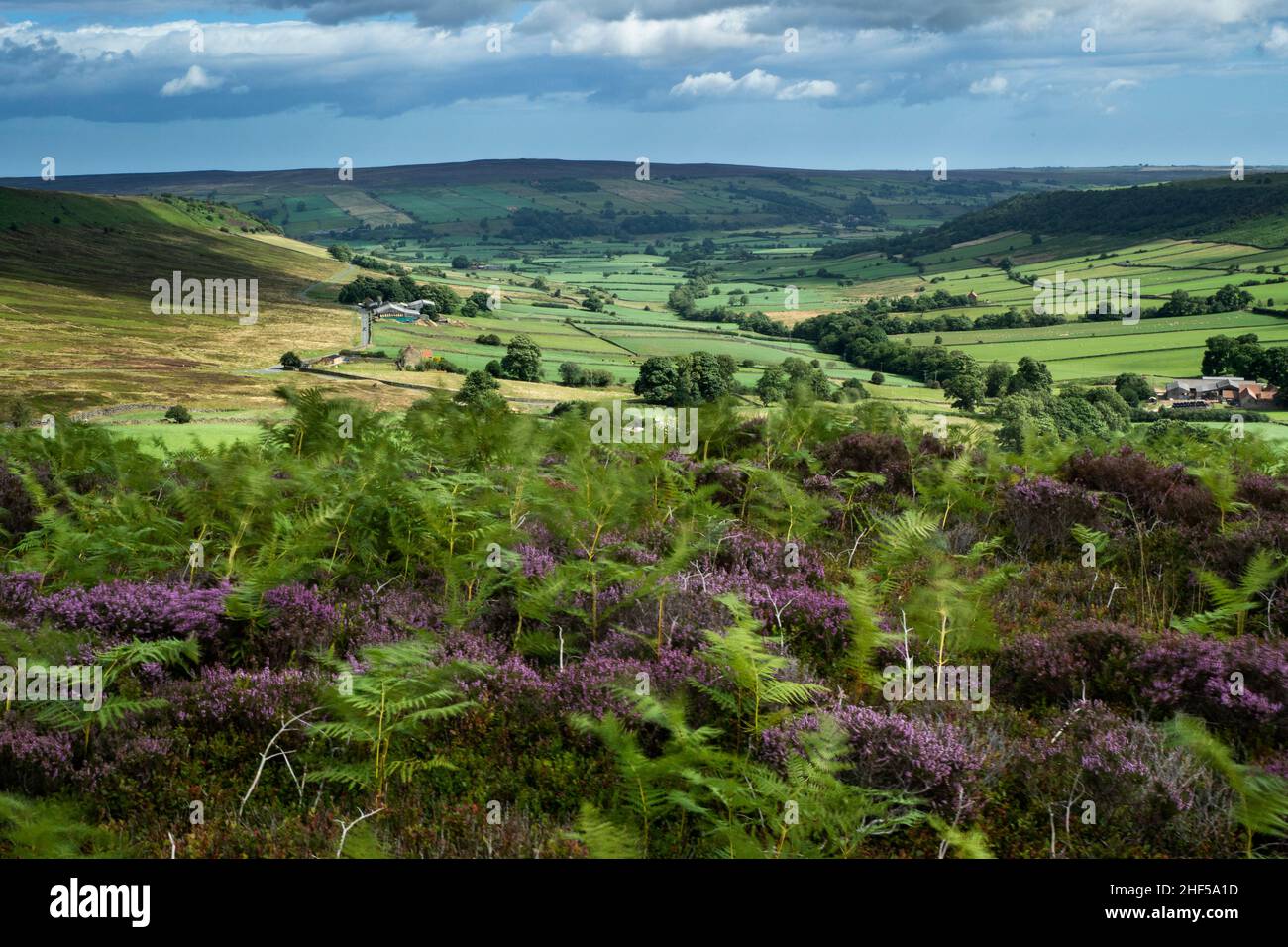 Little Fryupdale, North Yorks Moors National Park, Yorkshire Stockfoto