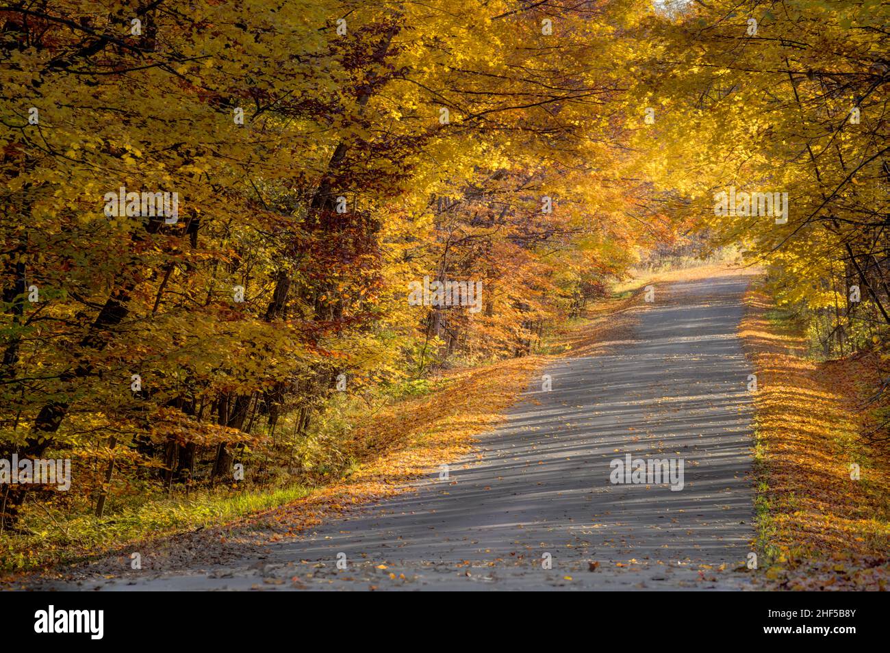 Ein Beispiel für die jährliche Herbst-Farbanzeige, die jeden Herbst in Door County Wisconsin passiert, das ein wichtiges Touristenziel ist. Stockfoto