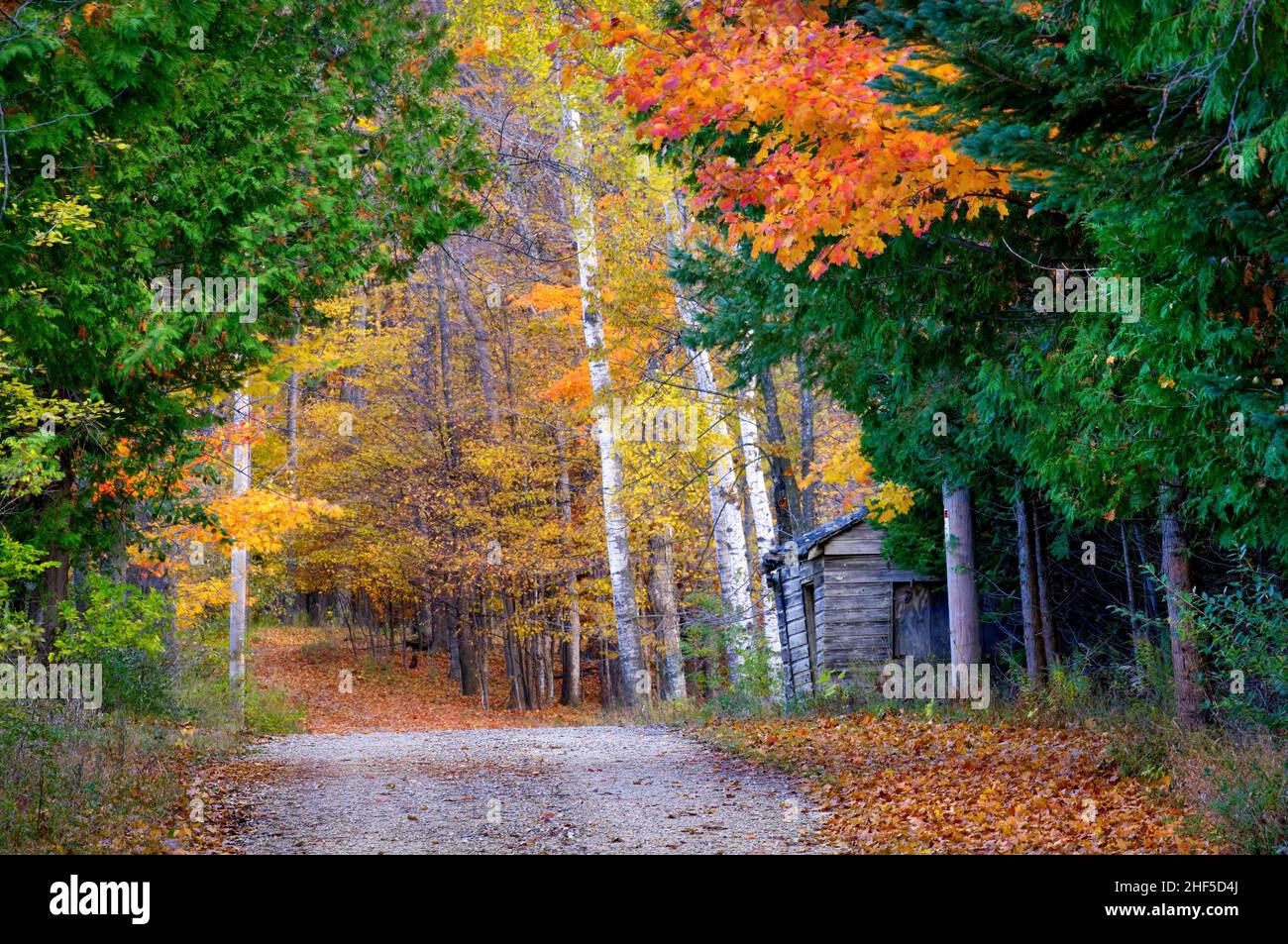 Ein Beispiel für die jährliche Herbst-Farbanzeige, die jeden Herbst in Door County Wisconsin passiert, das ein wichtiges Touristenziel ist. Stockfoto