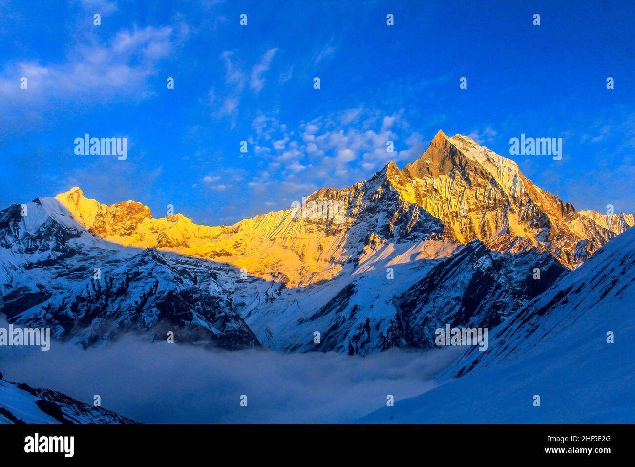 Sternenhimmel über Machhepuchare und Annapurna Base Camp - Nepal, Himalaya Stockfoto