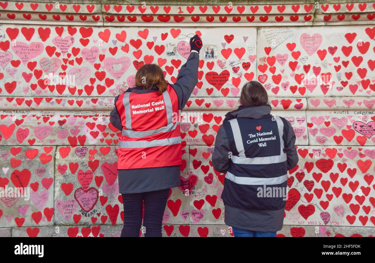 London, Großbritannien 14th. Januar 2022. Freiwillige malen neue Herzen und malen einige, die im Laufe der Zeit an der National Covid Memorial Wall verblasst sind, neu. Über 150.000 Herzen wurden bis heute an die Wand vor dem St. Thomas' Hospital gegenüber dem Parlamentsgebäude gemalt, eines für jedes Leben, das COVID-19 verloren hat, und es werden täglich weitere hinzugefügt. Kredit: Vuk Valcic / Alamy Live Nachrichten Stockfoto