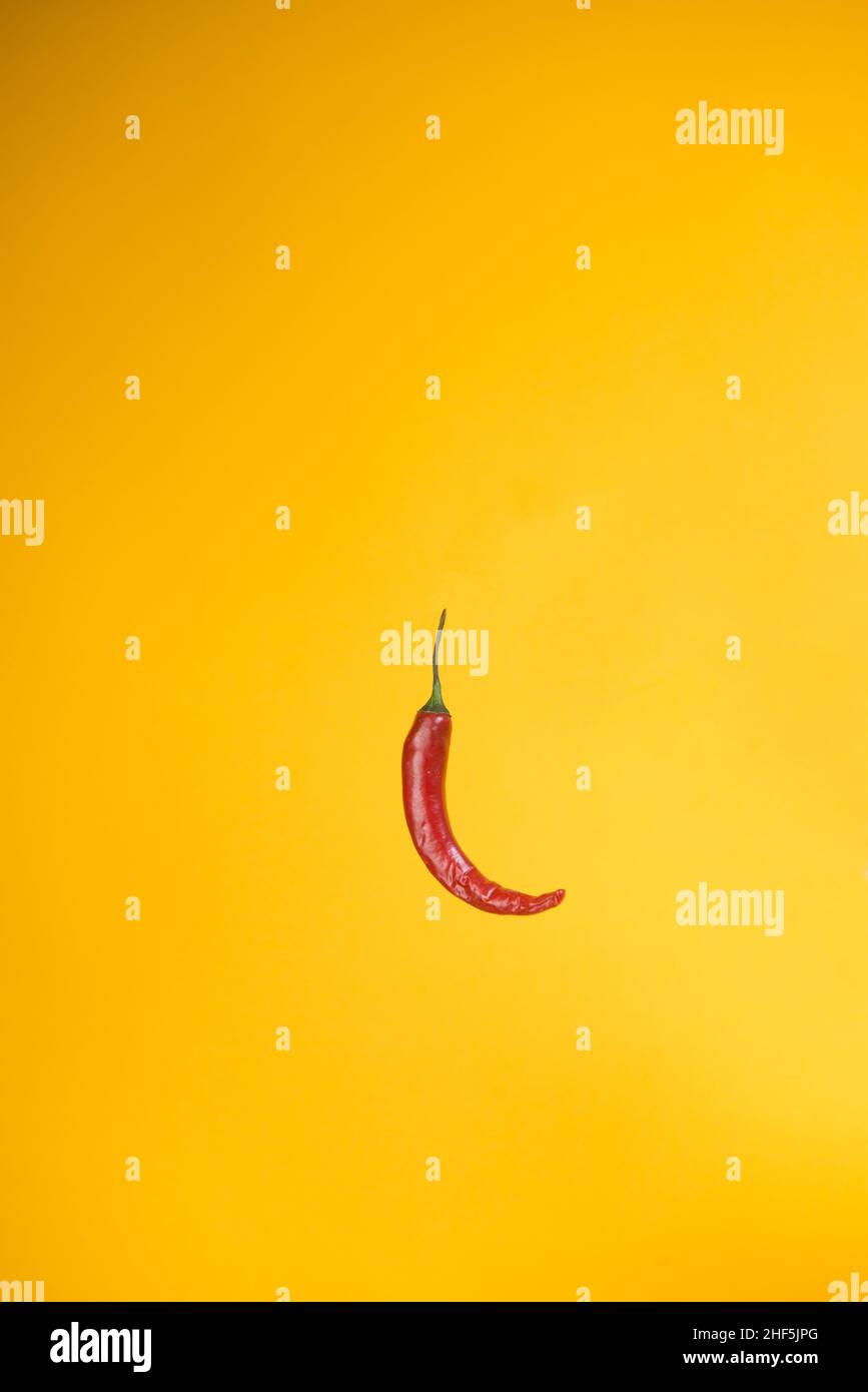 Farbige Paprika zum würzen der Mahlzeiten Stockfoto