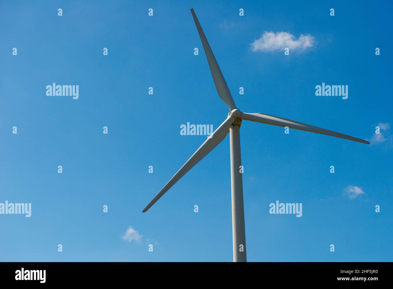 Rotterdam, Niederlande. Windmühle, die saubere, erneuerbare Energie und Strom im Industriegebiet Maasvlakte 2nd im Hafen von Rotterdam produziert, um einen Beitrag gegen den Wandel der VerwerferInnen und den Klimawandel zu leisten. Stockfoto
