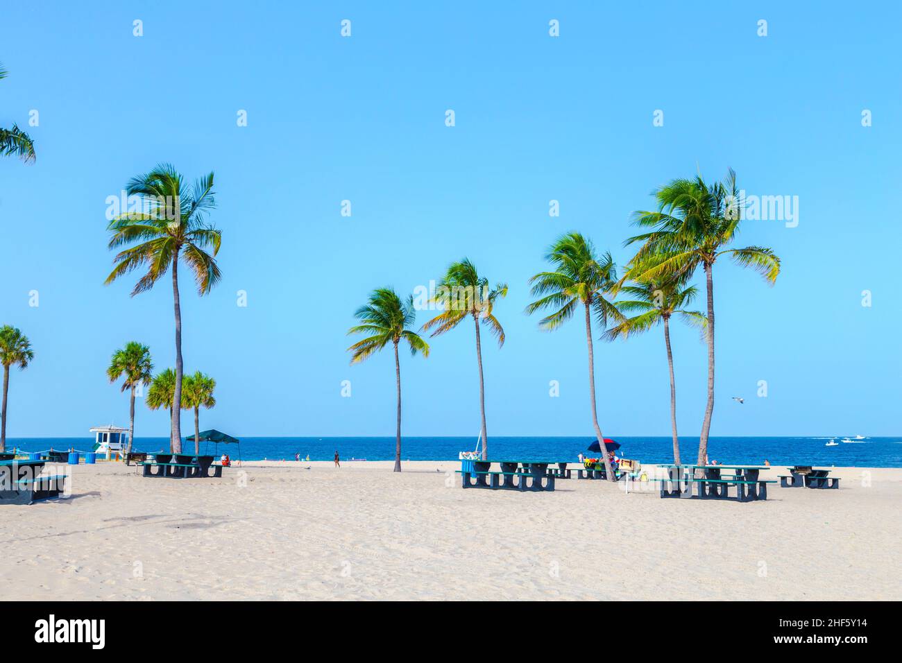 Wunderschöner tropischer Fort Lauderdale Strand mit Kokospalmen Stockfoto
