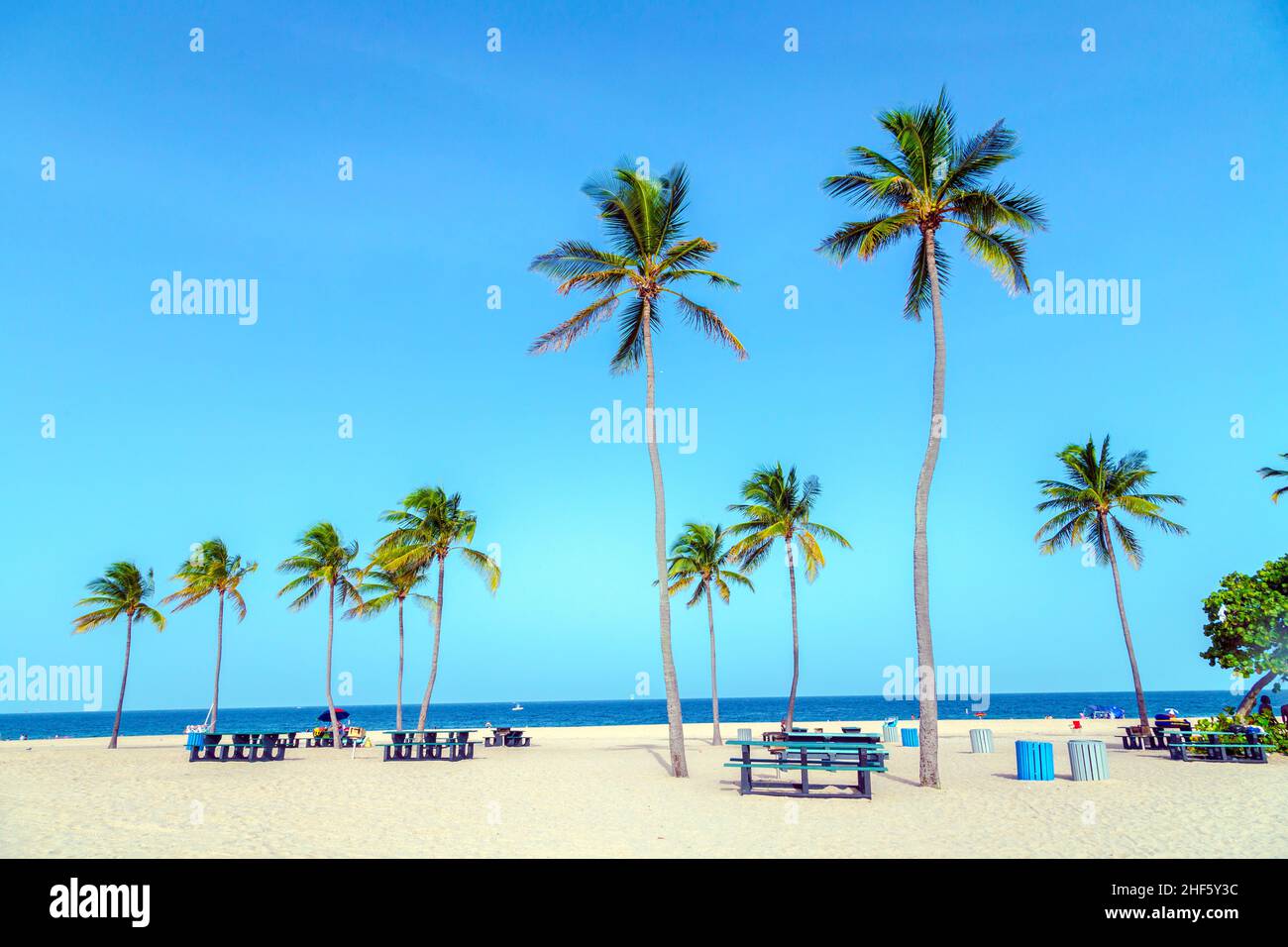 Wunderschöner tropischer Fort Lauderdale Strand mit Kokospalmen Stockfoto