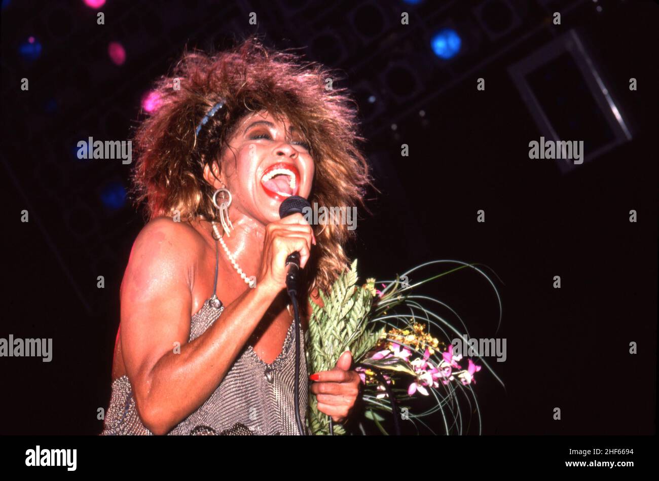 DETROIT - AUGUST 28: Die amerikanisch-schweizerische Sängerin und Schauspielerin Tina Turner tritt während ihrer 'Private Dancer Tour' am 18. August 1985 in Detroit, Michigan, in der Joe Louis Arena auf. Bild: Ross Marino / Rock Negative / MediaPunch Stockfoto