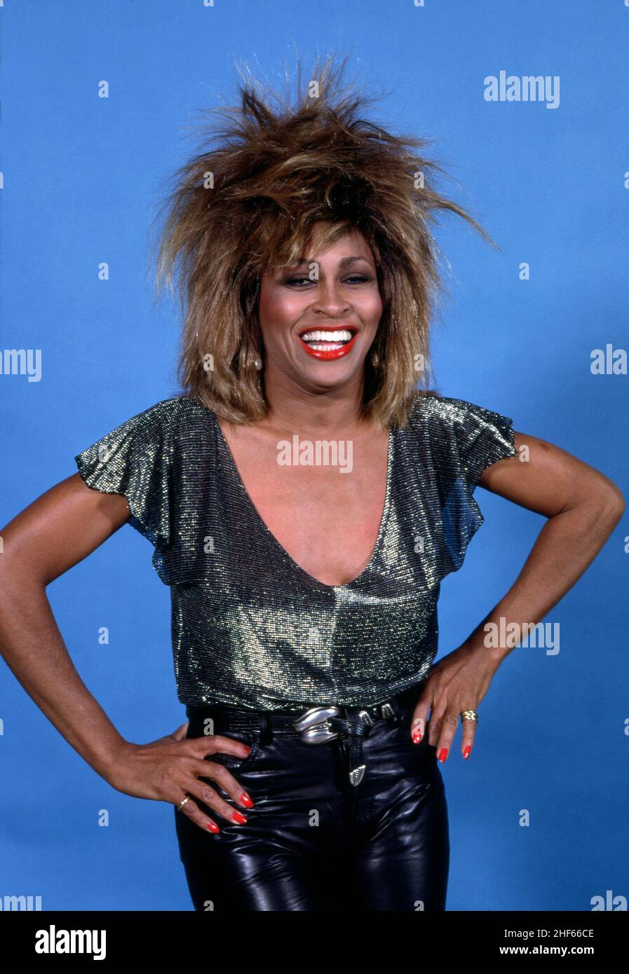 DETROIT - AUGUST 28: Die amerikanisch-schweizerische Sängerin und Schauspielerin Tina Turner tritt während ihrer 'Private Dancer Tour' am 18. August 1985 in Detroit, Michigan, in der Joe Louis Arena auf. Bild: Ross Marino / Rock Negative / MediaPunch Stockfoto