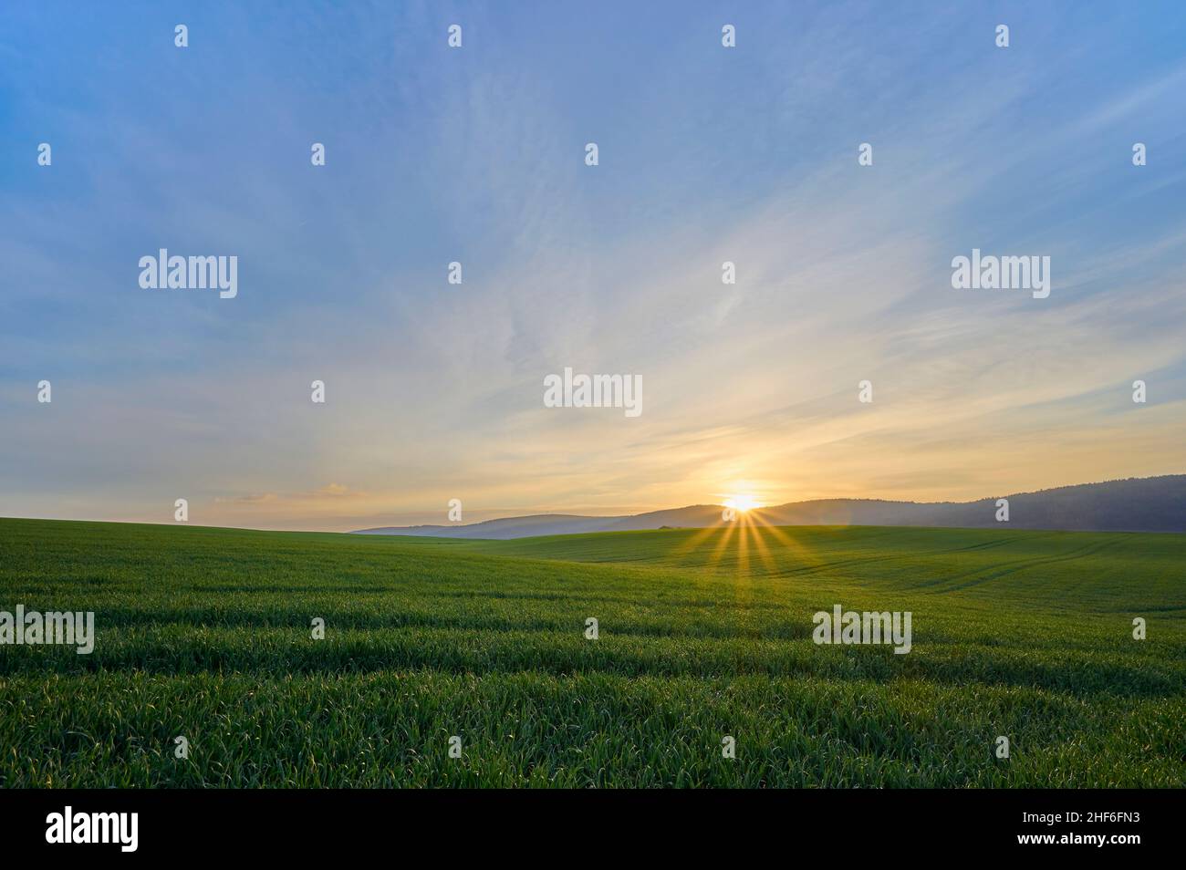 Kornfeld, Himmel, Sonnenaufgang, Frühling, Miltenberg, Spessart, Bayern, Deutschland Stockfoto