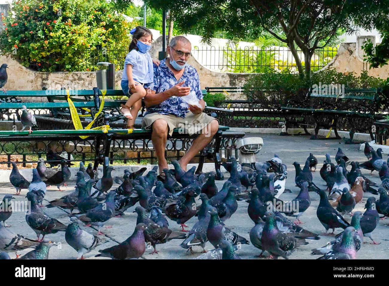 Mann und Kind füttern Tauben während der Pandemie, Merida Mexiko Stockfoto
