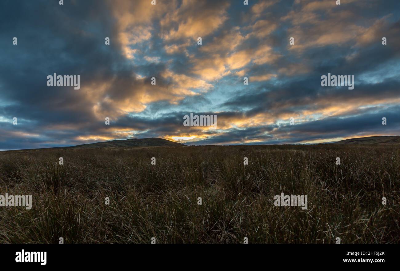 Die wunderschöne unberührte Landschaft von Northumberland inmitten des Northumberland International Dark Sky Park im Breamish Valley Stockfoto