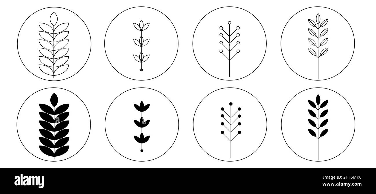 Set von abstrakten Pflanzen. Silhouette. Sammlung von handgezeichneten, botanischen und heilenden isolierten Pflanzen. Kräuter Designvorlage.Zweige und Blätter mit abstrakten Stockfoto
