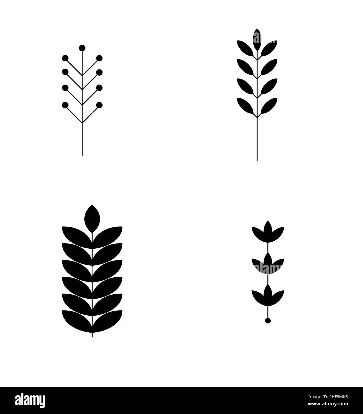 Set von abstrakten Pflanzen. Silhouette. Sammlung von handgezeichneten, botanischen und heilenden isolierten Pflanzen. Kräuter Designvorlage.Zweige und Blätter mit abstrakten Stockfoto