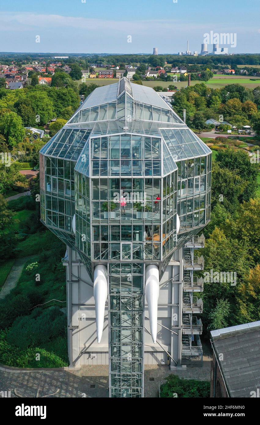 Hamm, Nordrhein-Westfalen, Deutschland, der Maximilianpark der westfälischen Stadt Hamm ist ein Vergnügungspark, der seit der Landesgartenschau 1984 auf dem Gelände der stillgebliebenem Maximilian-Kolonie errichtet wurde und dessen Wahrzeichen der gläserne Elefant ist, eine 40 m hohe begehbare Skulptur. Im Hintergrund das Uniper Kraftwerk Datteln 4. Stockfoto