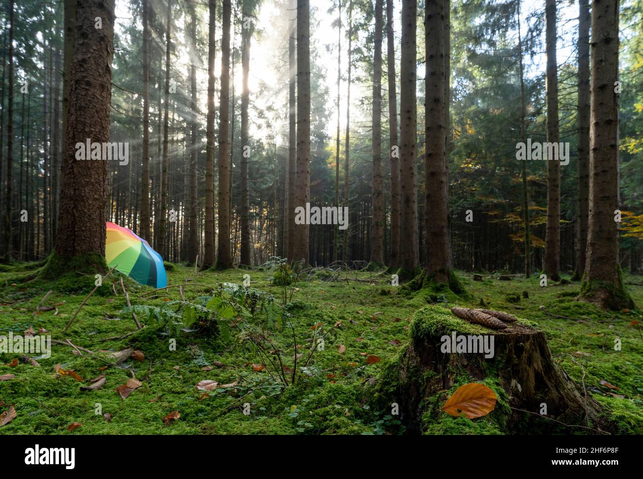 Konzeptfoto für die bunte Kraft der Herbstsaison mit einem Regenbogenfarbenen Regenschirm und einem ausgestanzten Blatt mit Herz Stockfoto