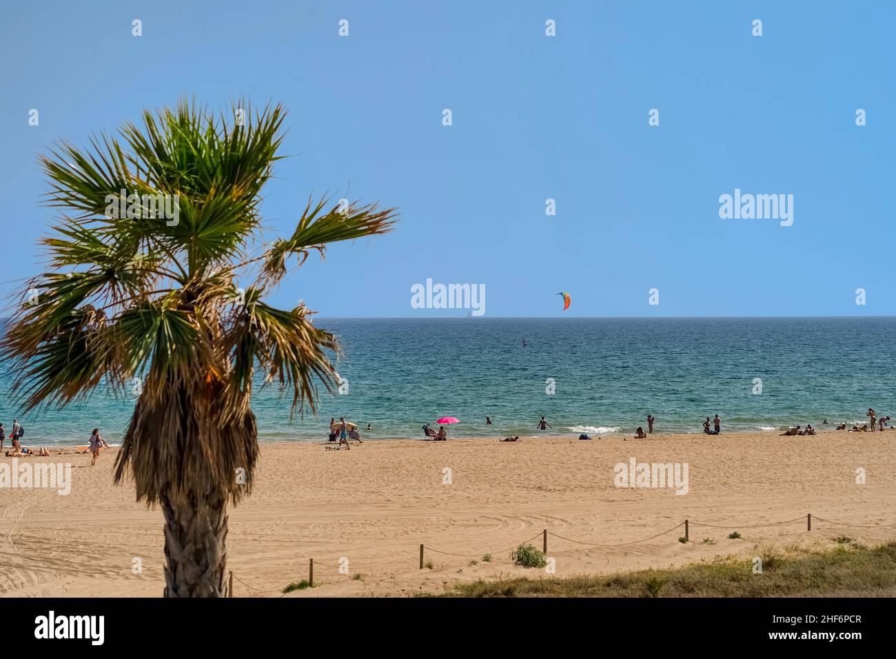 Der schöne, sommerliche Strandblick mit Menschen im Hintergrund und einer Palme im Vordergrund mit einem Kite-Surfer Stockfoto