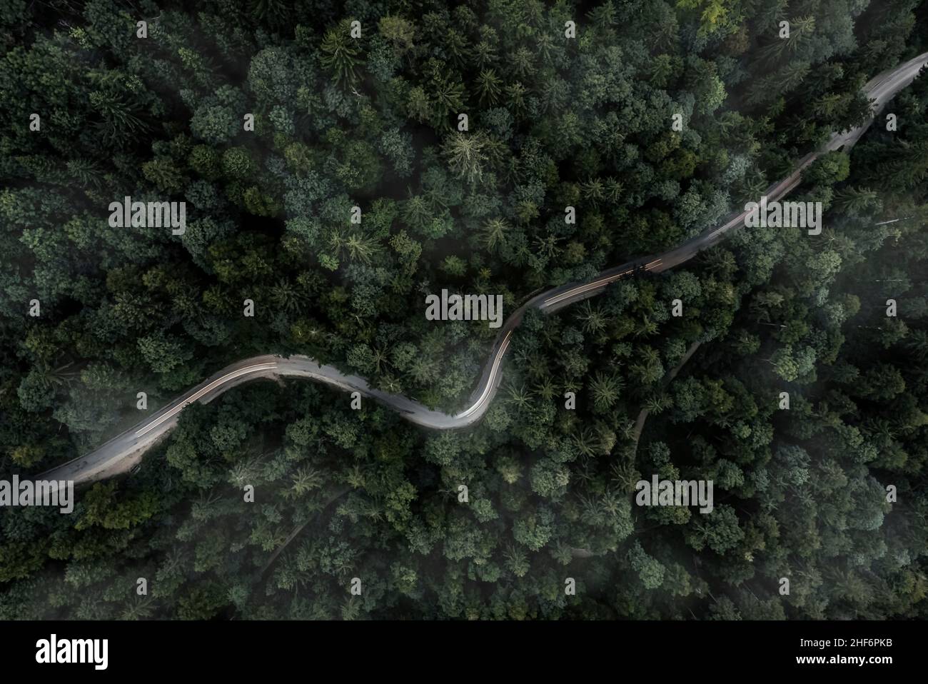 Kurvenreiche Straße in einem Wald aus der Sicht von oben auf eine Drohne bei einem nebligen Abend mit einer Auto-Hintergrundbeleuchtung Stockfoto