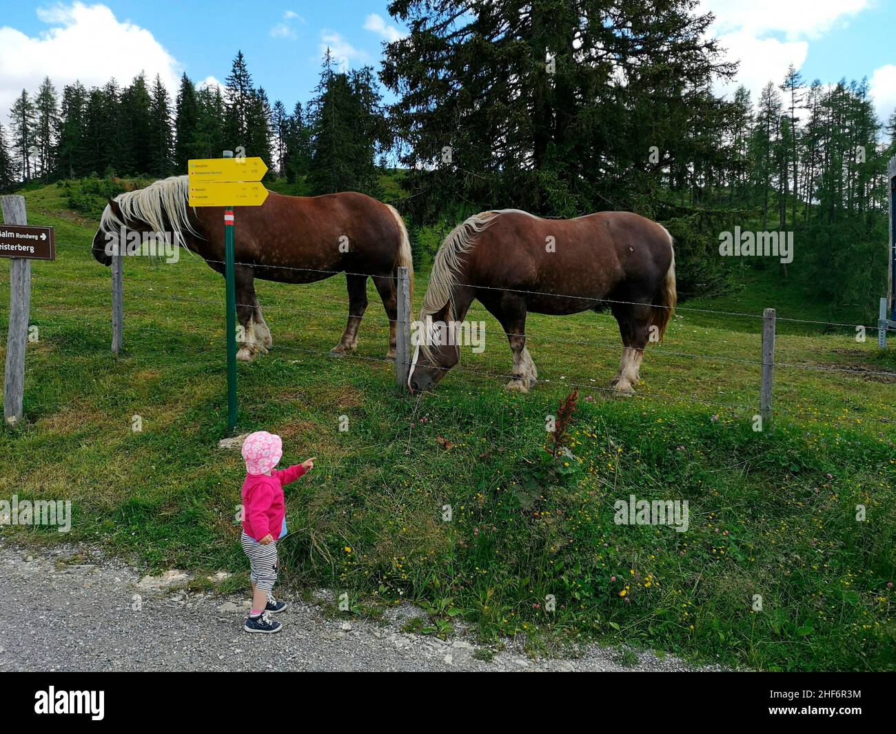 Pferde und Kleinkinder im Salzburger Land auf einer Alm nahe dem Geisterberg im Bergdorf St. Johann im Pongau Stockfoto