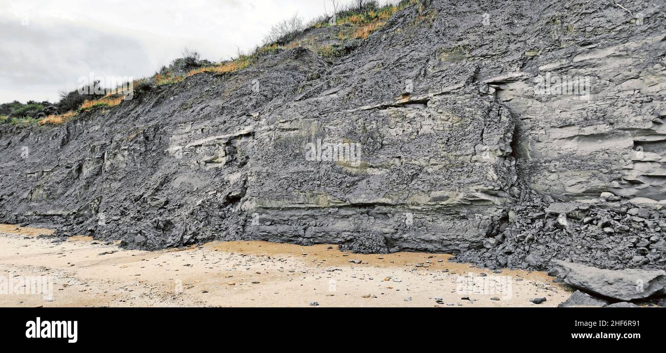 Falaises des Vaches Noires (Black Cows Cliffs) Fossilienfunde am Houlgate Beach, Normandie, Frankreich Stockfoto