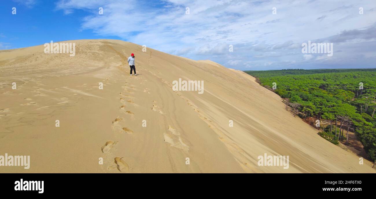 Die Dune du Pilat (auch Grande Dune du Pilat) an der Atlantikküste bei Arcachon (Frankreich) ist die höchstwandernde Düne Europas. Es hat einen Nord-Süd-Kurs und ist bis zu 110 Meter hoch (81 Meter nach SRTM-Daten), 500 Meter breit, etwa 2,7 Kilometer lang (geschätztes Volumen 60 Millionen Kubikmeter) und liegt an der Meeresöffnung des Bassin d ' Arcachon Stockfoto