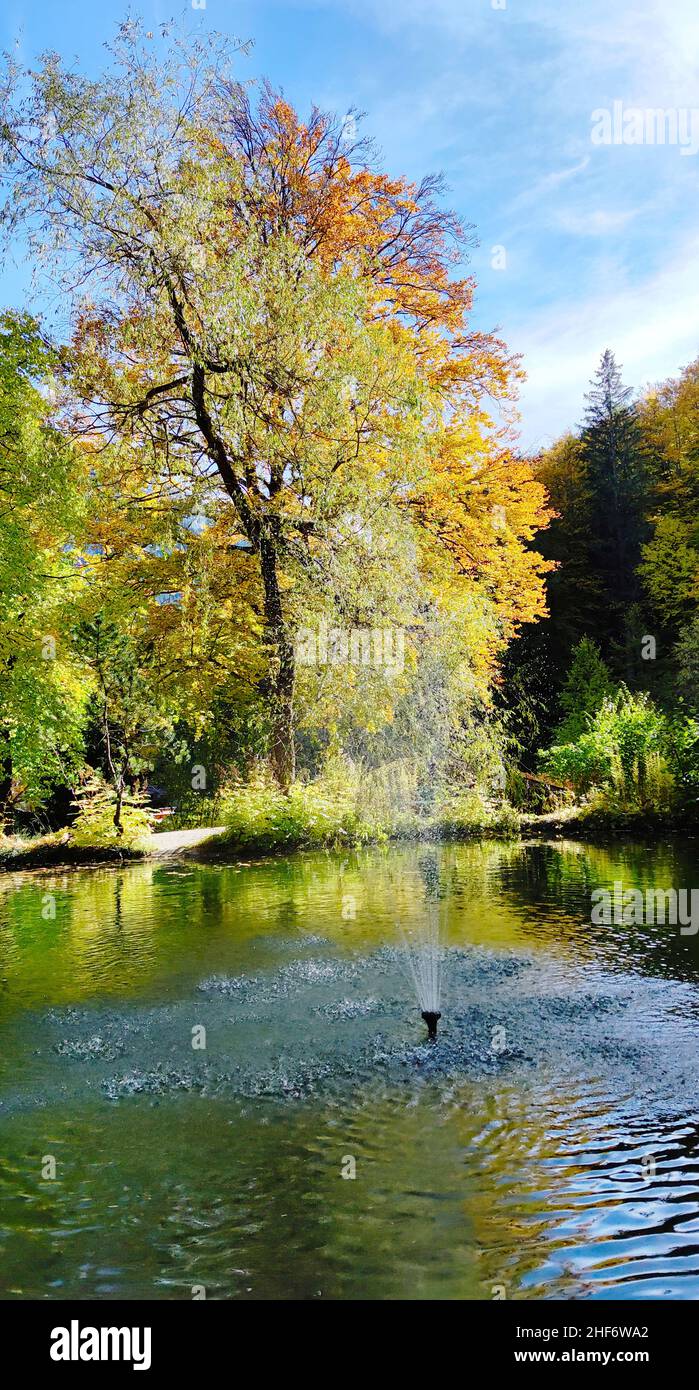Herbst am teich im kurpark Fotos und Bildmaterial in hoher Auflösung