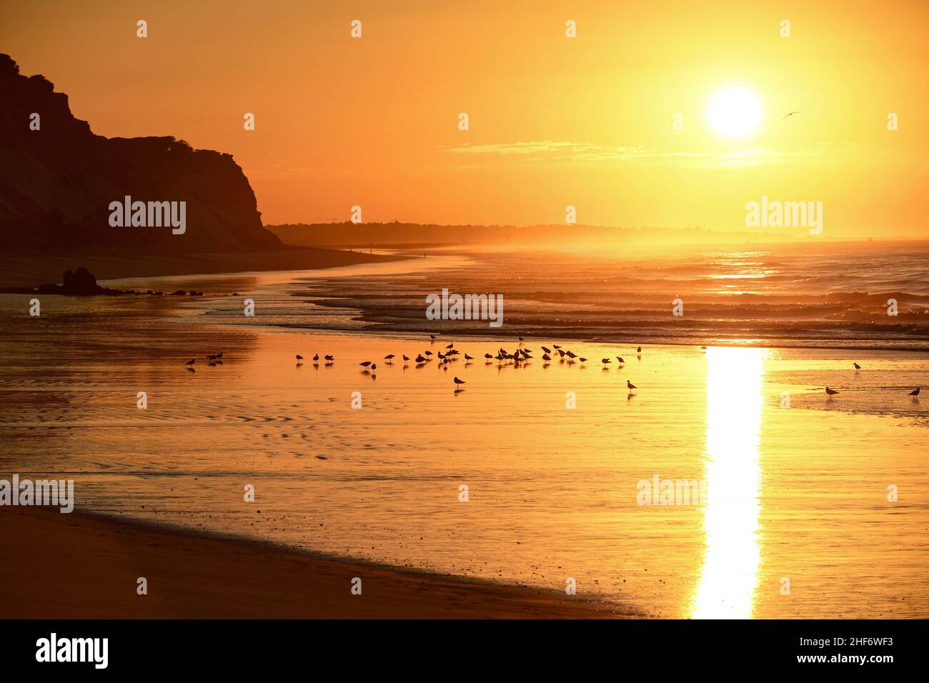 Sonnenaufgang am Strand von Albufeira, Surfen im Atlantik im Hintergrund Stockfoto