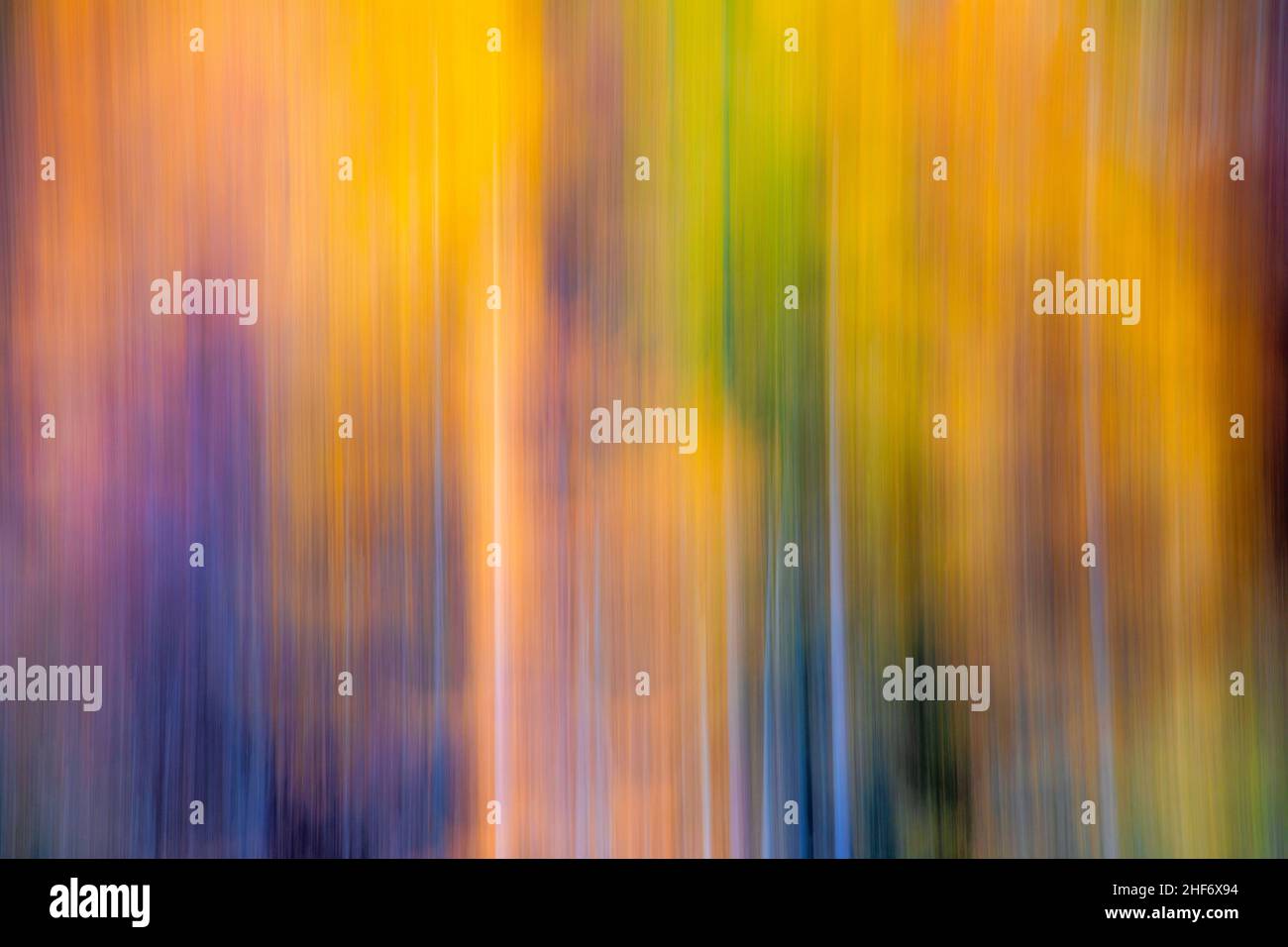 Abstrakter Herbst, abstraktes Bild, Herbstfarben Stockfoto