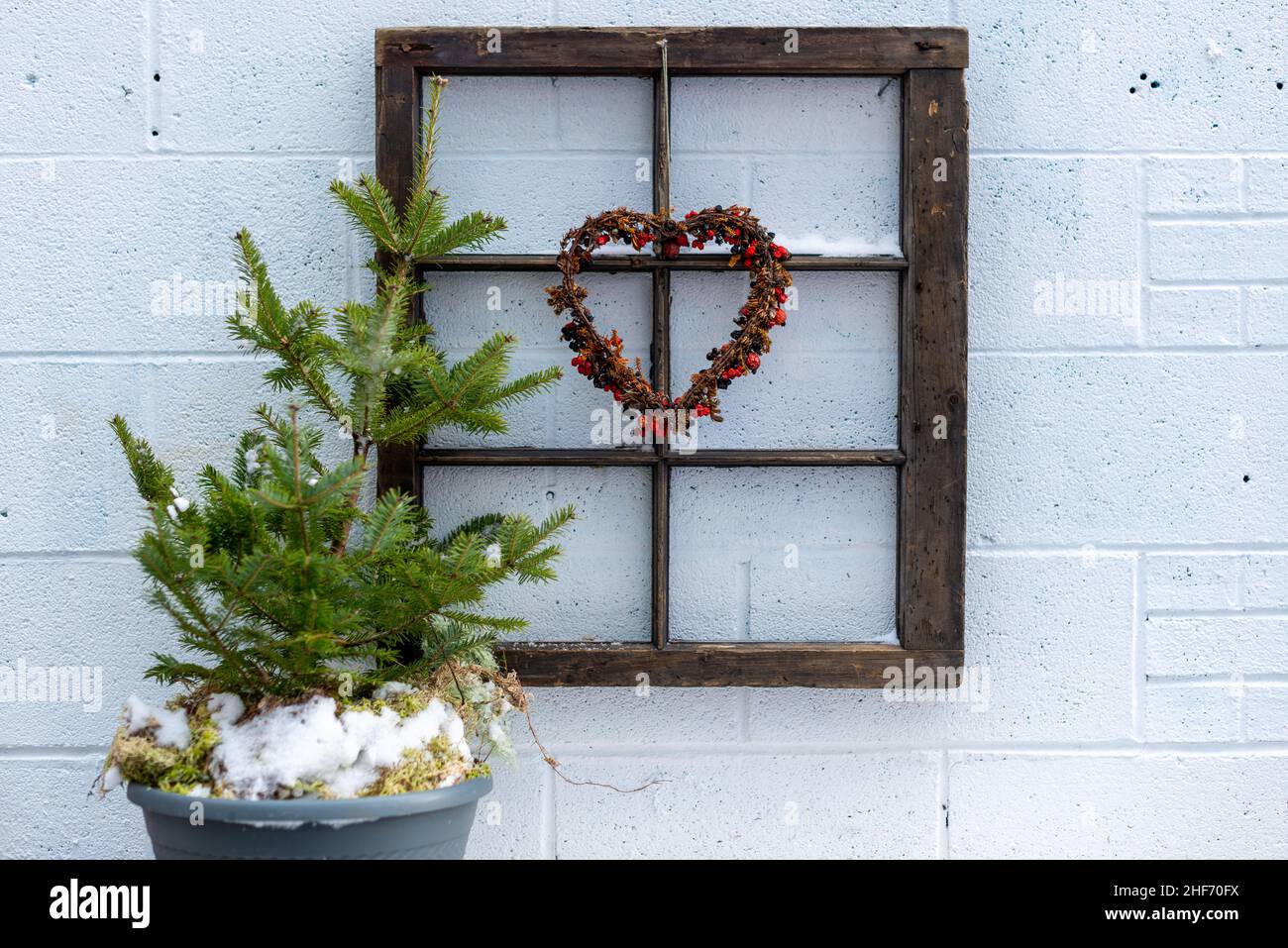Rote Beeren, die um ein Drahtherz aufgereiht sind und an einem rustikalen Fensterrahmen aus Holz hängen. Die dekoration zum valentinstag ist auf einer weißen Ziegelwand und einem Tisch. Stockfoto
