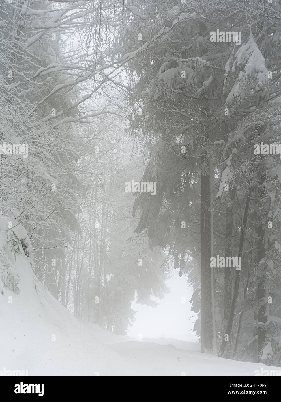 Winterlandschaft Stockfoto