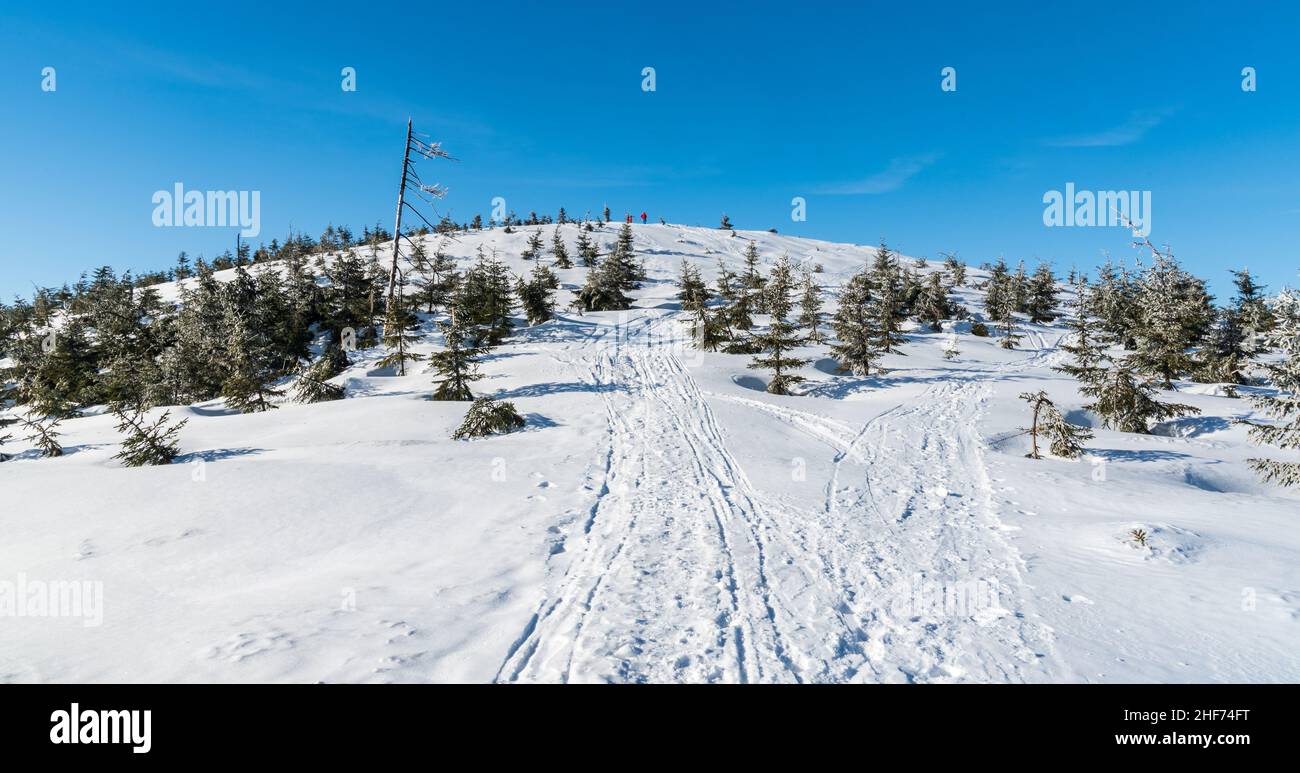 Schöner Wintertag im Beskid Slaski Gebirge in Polen - Zielony Kopiec Hügel mit kleinen Bäumen unten Gipfel und klaren Himmel Stockfoto