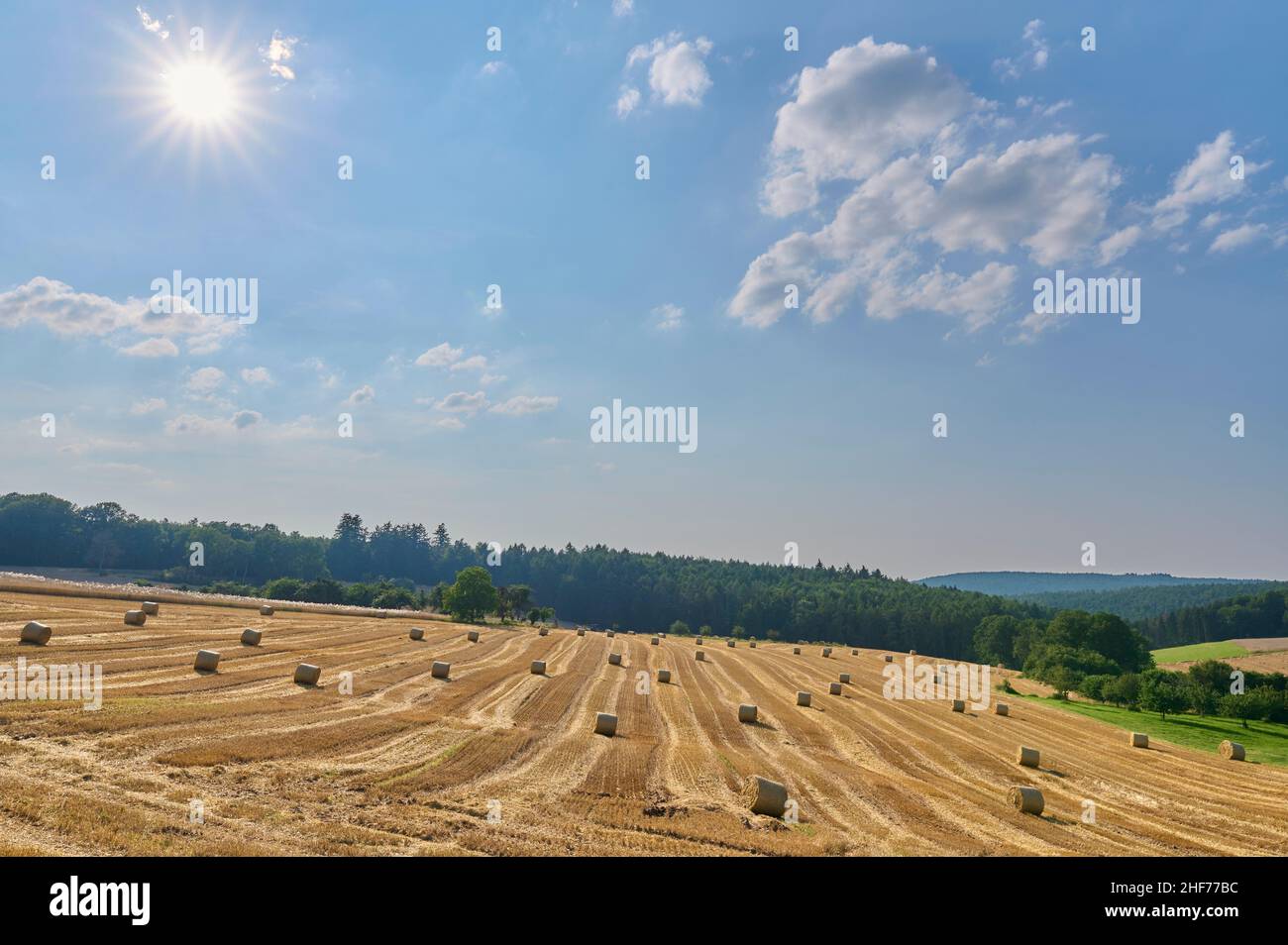 Getreide, geerntet, Strohrollen, Sonne, Sommer, Miltenberg, Spessart, Bayern, Deutschland Stockfoto