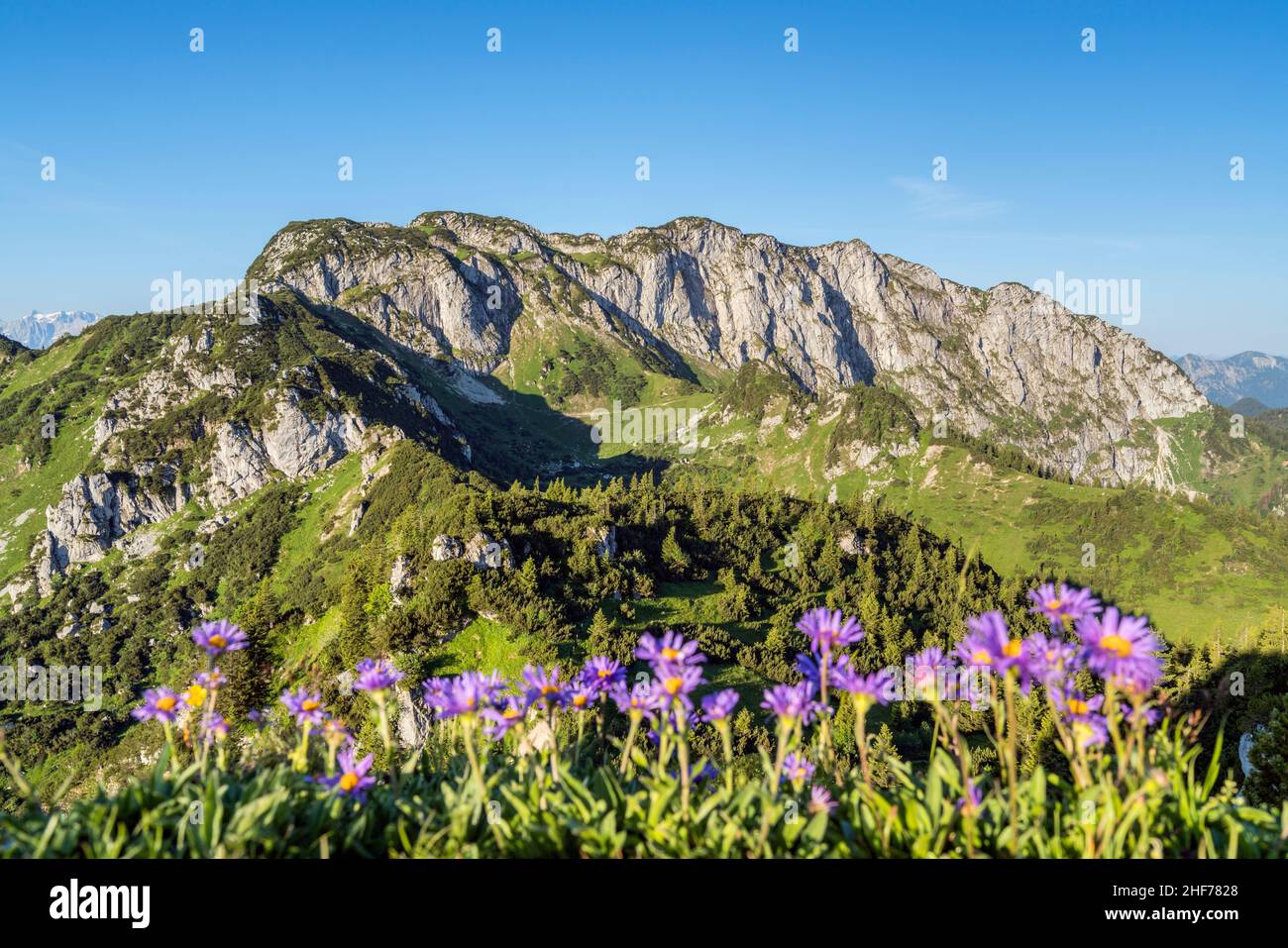 Blick vom Hennenkopf (1, 613 m) auf die Benediktenwand (1, 801 m), Benediktbeuern, Oberbayern, Bayern, Deutschland Stockfoto