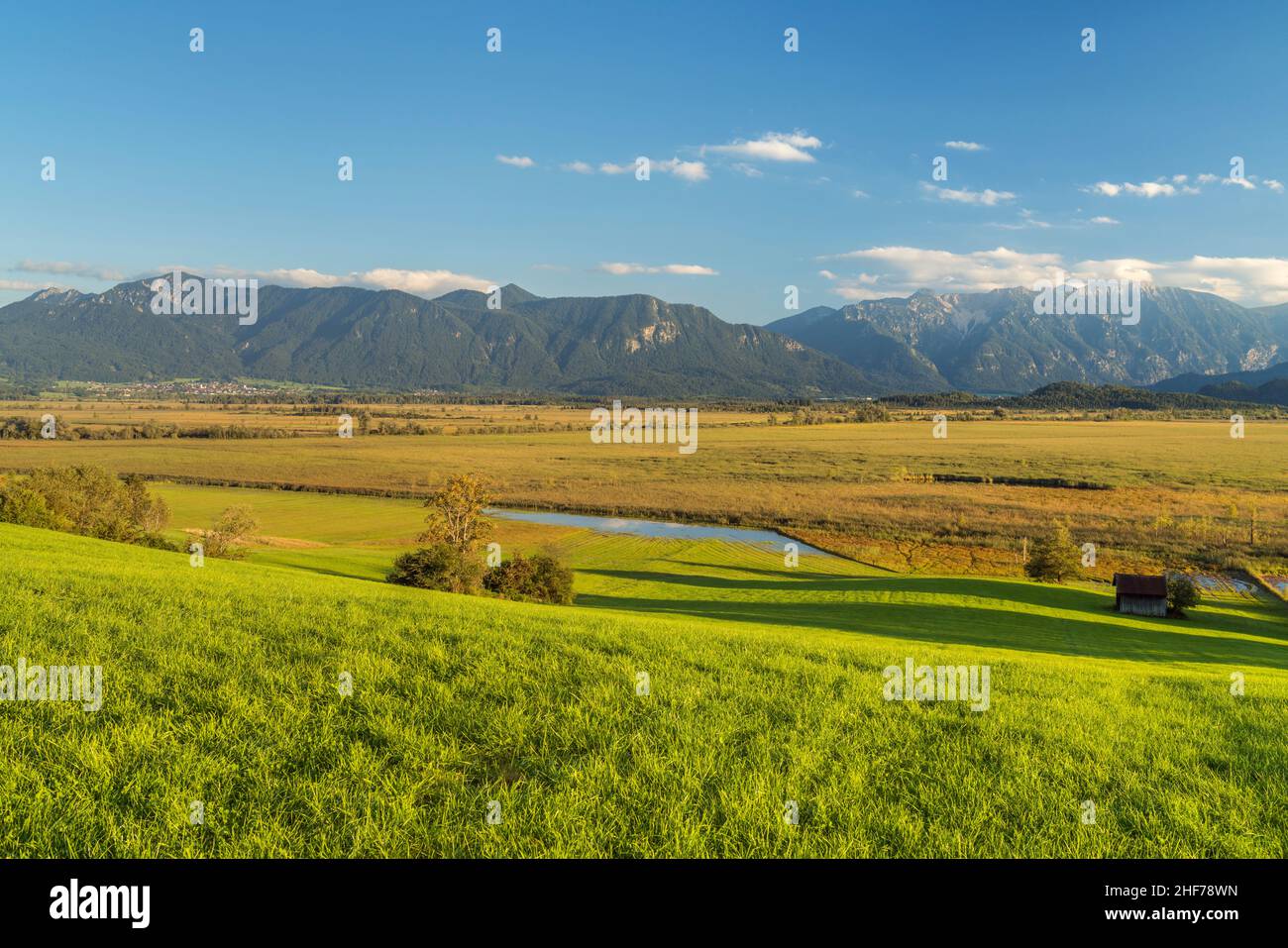 Blick über den Murnauer Moos auf die bayerischen Alpen, Murnau, Oberbayern, Deutschland Stockfoto