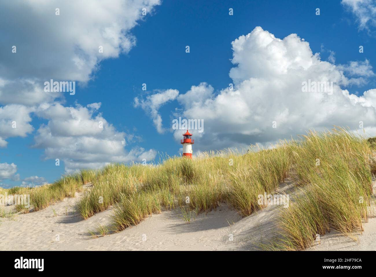 Liste Ost Leuchtturm in Ellenbogen, Sylt Insel, Schleswig-Holstein, Deutschland Stockfoto