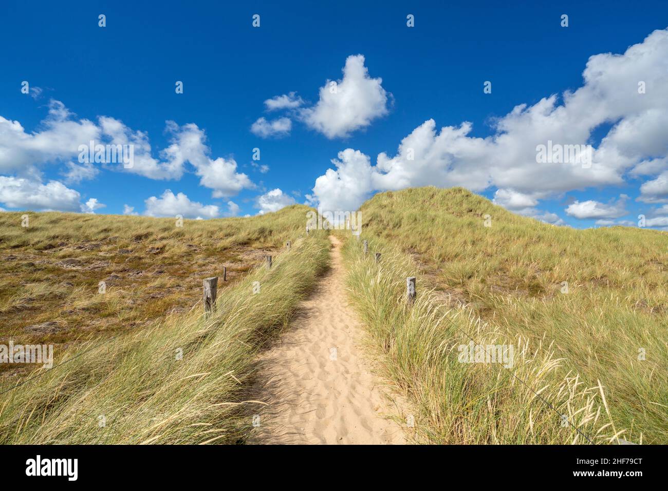 Pfad in den Dünen am Ellenbogen, List, Sylt Island, Schleswig-Holstein, Deutschland Stockfoto