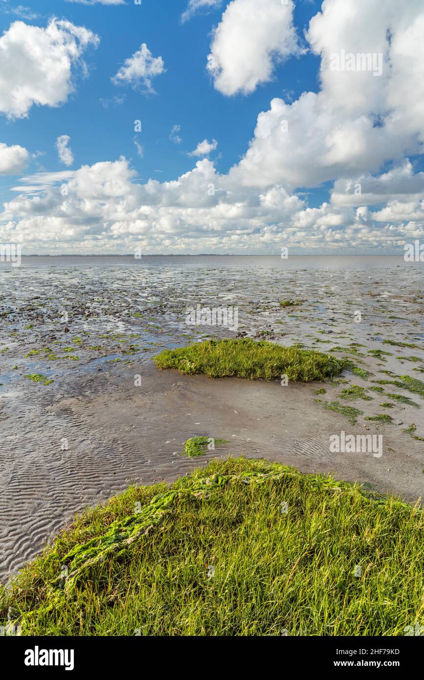 Wattenmeer vor dem Morsum-Klliff, Morsum, Insel Sylt, Schleswig-Holstein, Deutschland Stockfoto