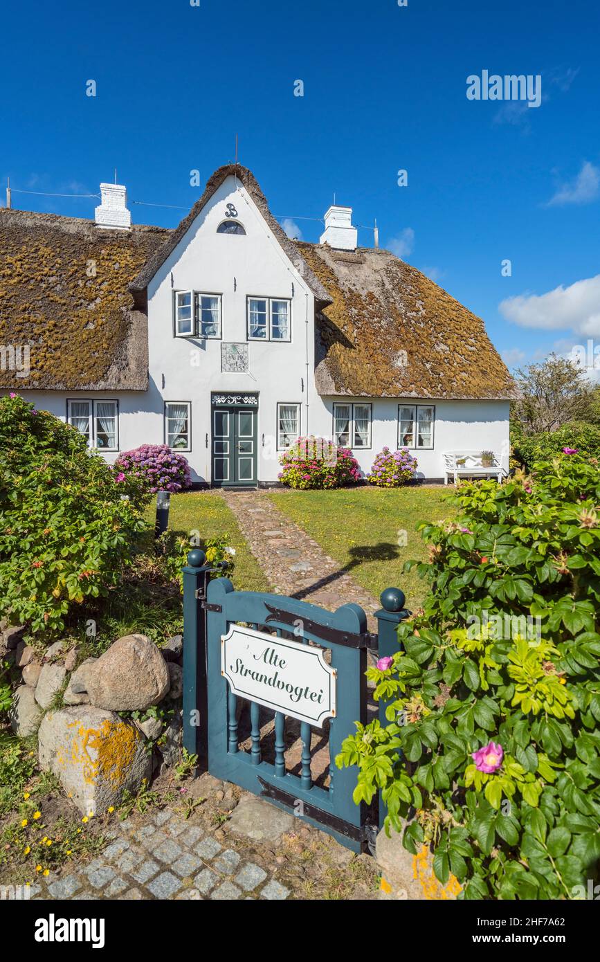 Reetdachhaus in Kampen, Insel Sylt, Schleswig-Holstein, Deutschland Stockfoto