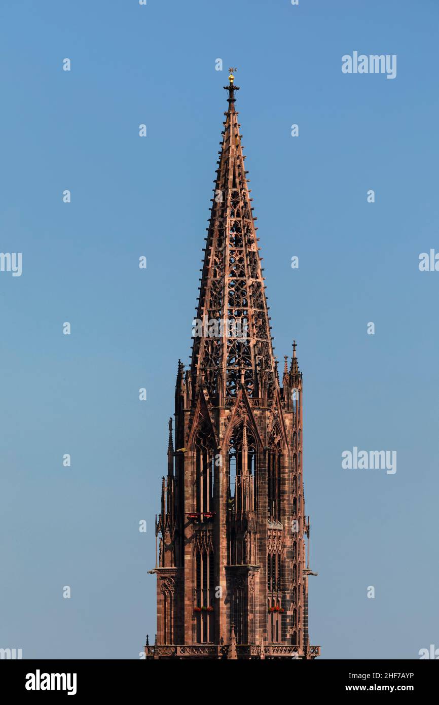 Turm des Freiburger Münster, Freiburg im Breisgau, Südschwarzwald, Baden-Württemberg, Deutschland Stockfoto