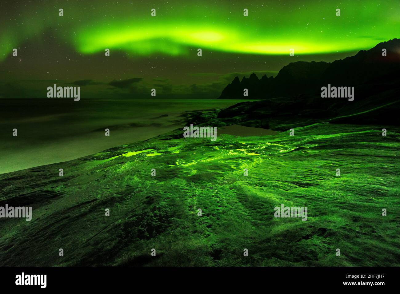 Norwegen, Senja-Insel, Felsspitzen, Tungeneset, Polarlichter, Spiegelung in nassem Fels Stockfoto