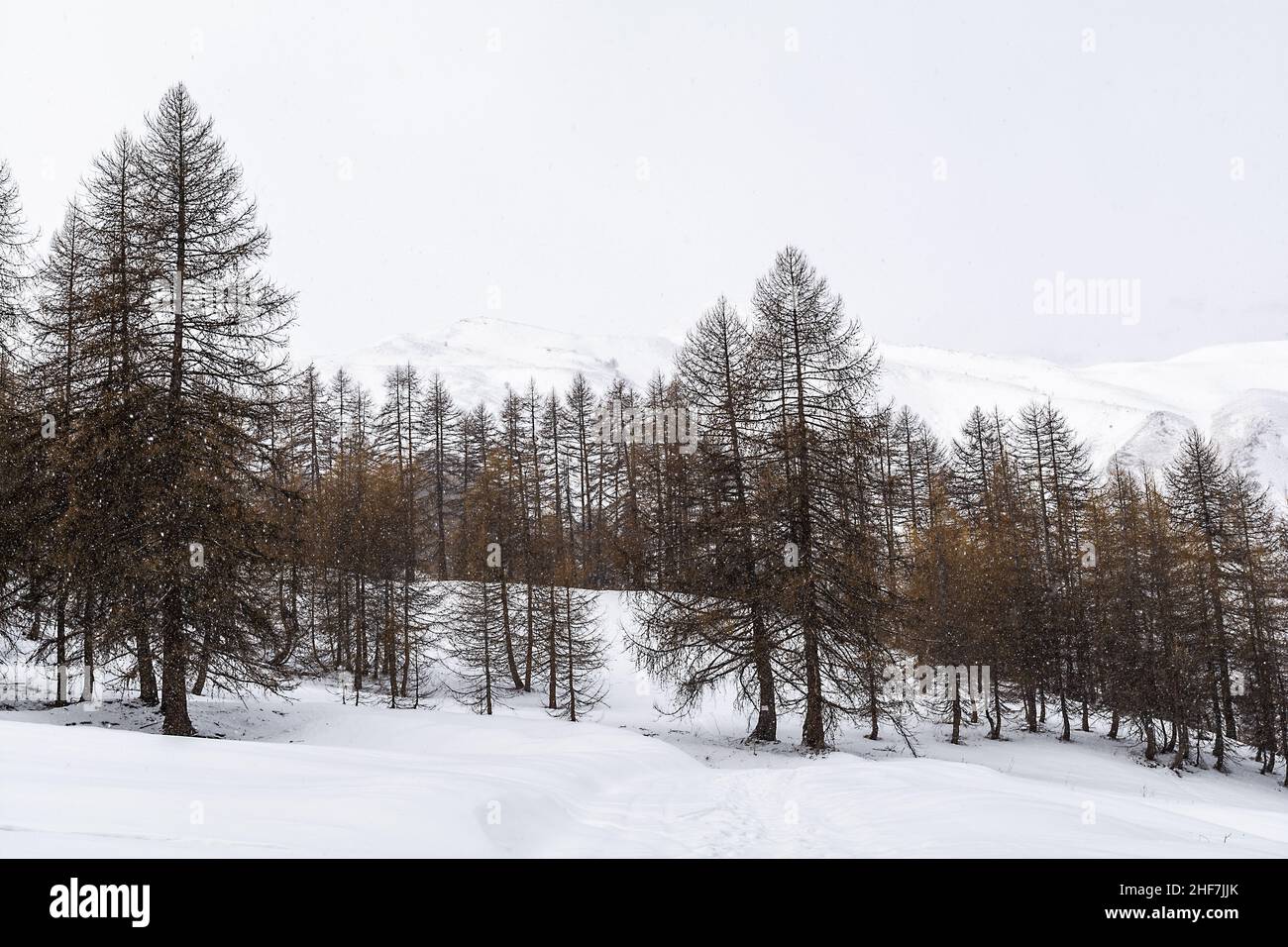 Das kleine Dorf Ferrere, nur zu Fuß erreichbar während der Wintersaison. Valle Stura - Provinz Cuneo – Piemont Stockfoto