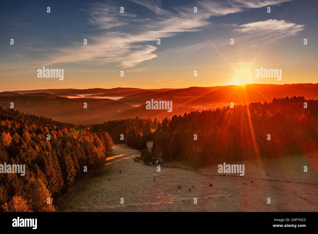 Deutschland, Thüringen, Großbreitenbach, Wildenspring, Landschaft, Wald, Tal, Bergwiesen, Sonnenaufgang, Rücklicht Stockfoto