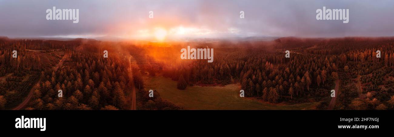 Deutschland, Thüringen, Großbreitenbach, Neustadt am Rennsteig, Sonne scheint durch Bodennebel, Sonnenaufgang, Landschaft, Wald, Berge, Waldwege, Rennsteig-Umgebung, 360-Grad-Panorama, teilweise Hinterlicht Stockfoto Deutschland, Thüringen, Großbreitenbach, Neustadt am Rennsteig, Sonne scheint durch Bodennebel, Sonnenaufgang, Landschaft, Wald, Berge, Waldwege, Rennsteig-Umgebung, 360-Grad-Panorama, teilweise Hinterlicht Stockfoto