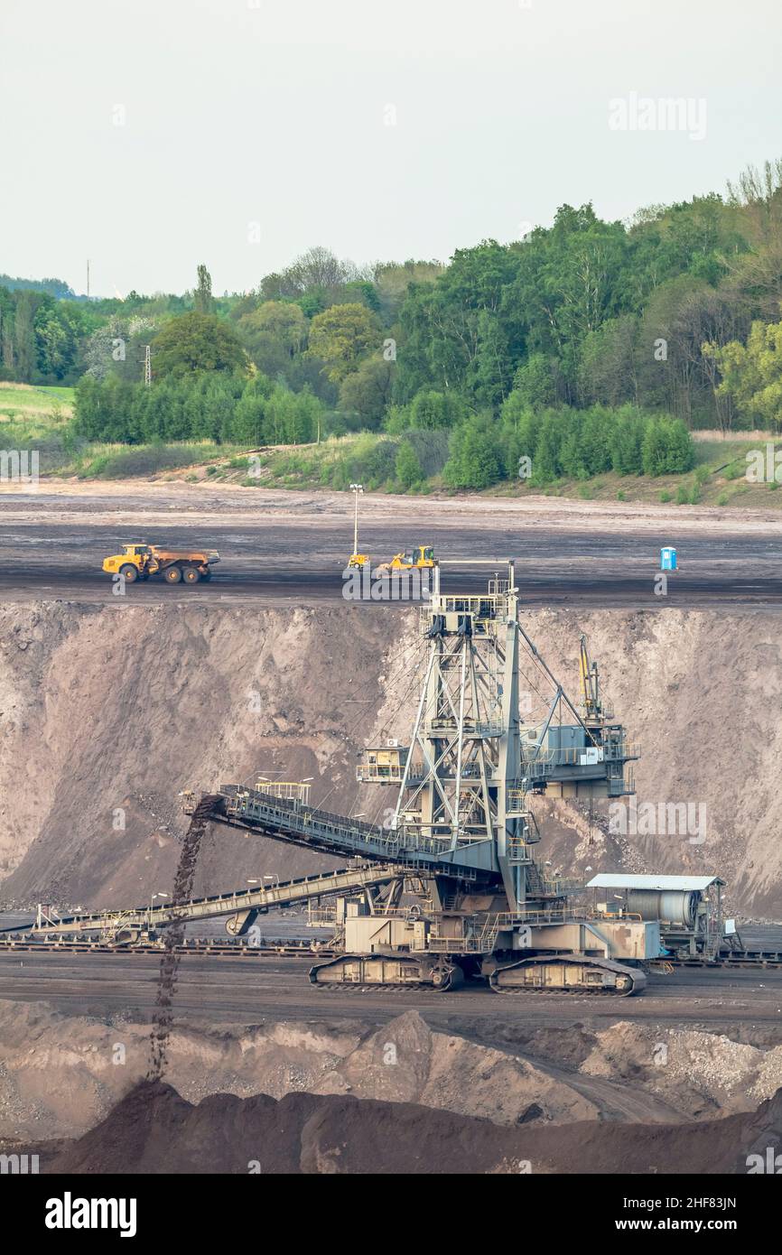 Deutschland, Niedersachsen, Schöningen, Streuer in der ehemaligen Braunkohletagebau Schöningen Stockfoto