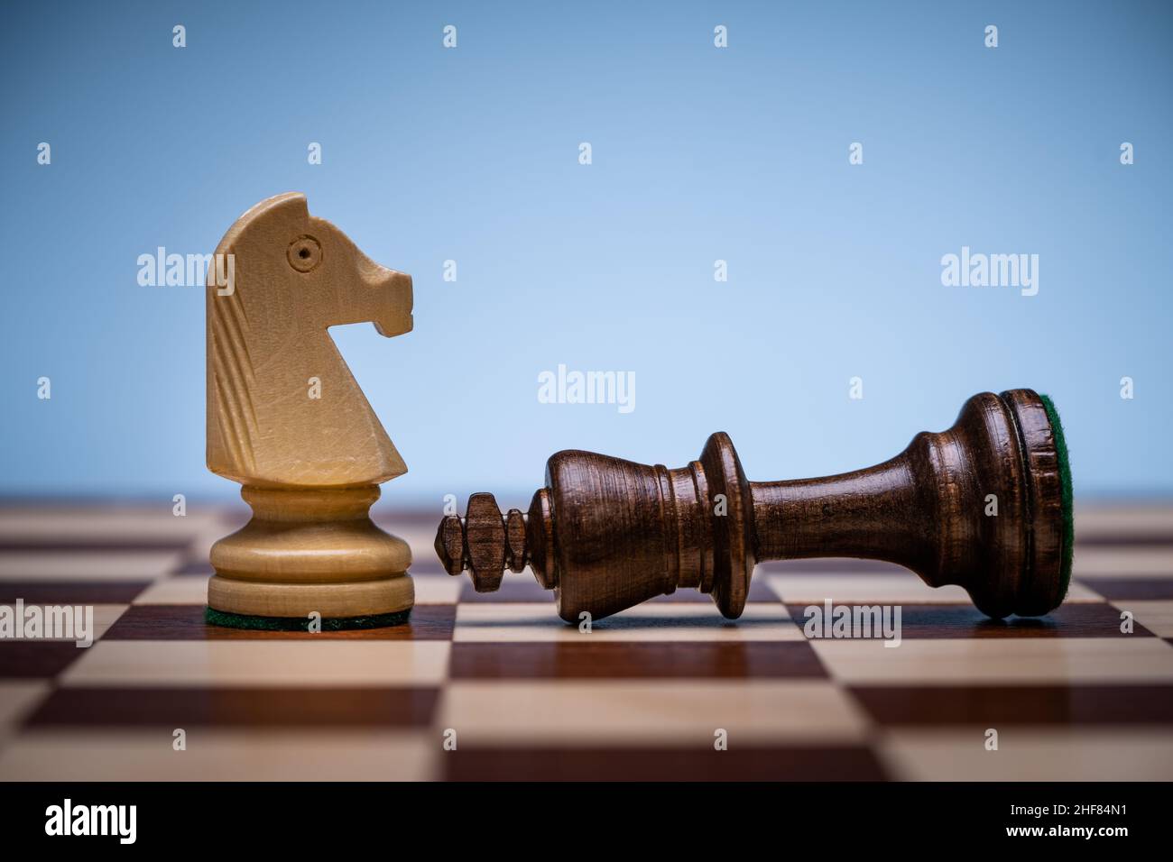 Chess King Besiegt Auf Dem Schachbrett. Gewinner Des Spiels Stockfoto