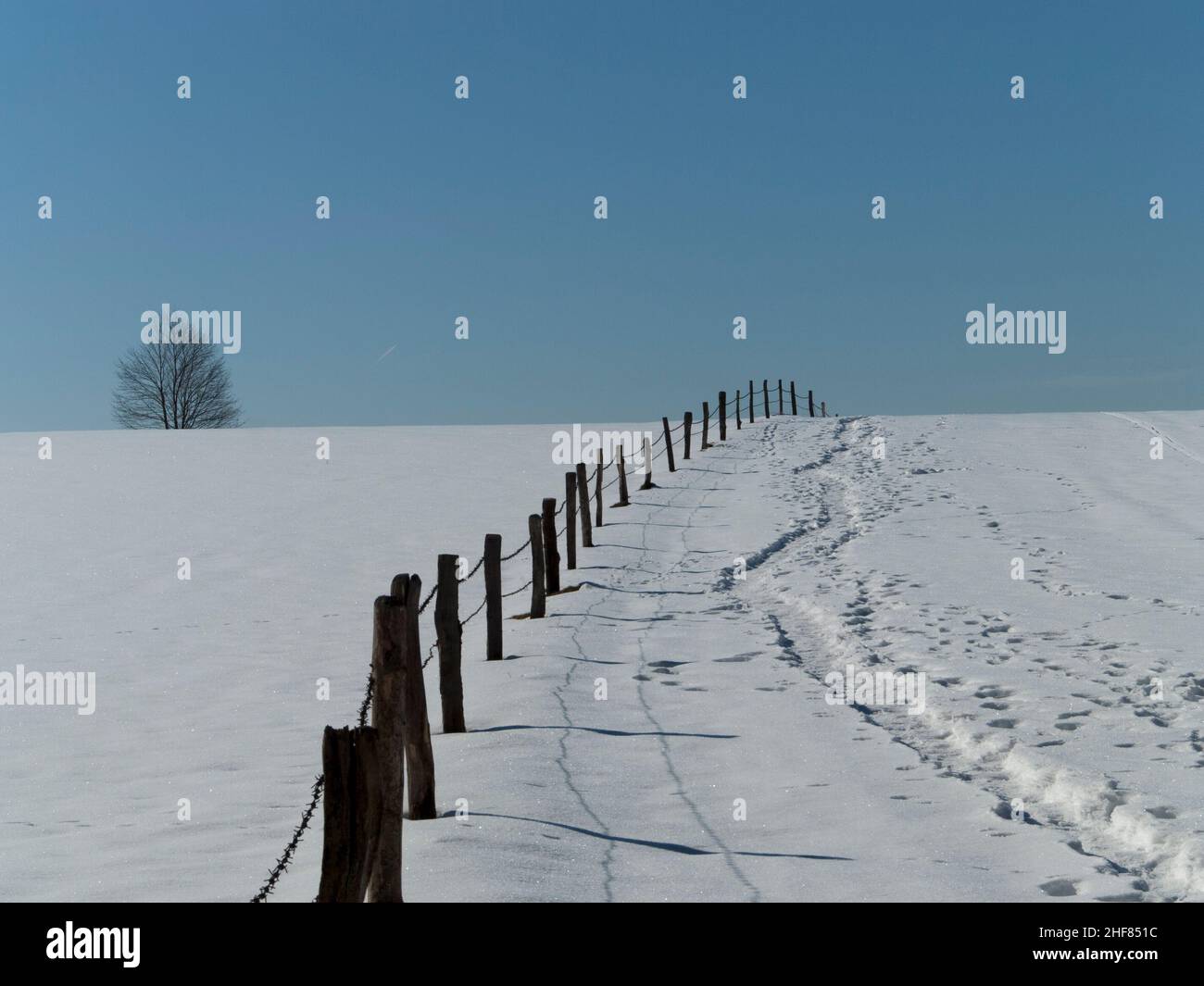 Winter am Starnberger See, verschneite Landschaft Stockfoto