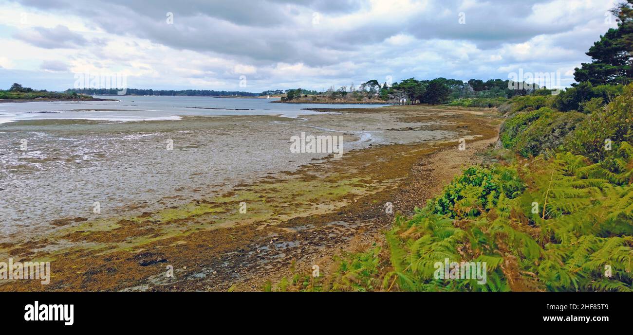 Ebbe im Golfe du Morbihan ein Binnenmeer an der französischen Atlantikküste. Der Name des Golfs stammt von Breton mor bihan, was „kleines Meer“ bedeutet. Stockfoto