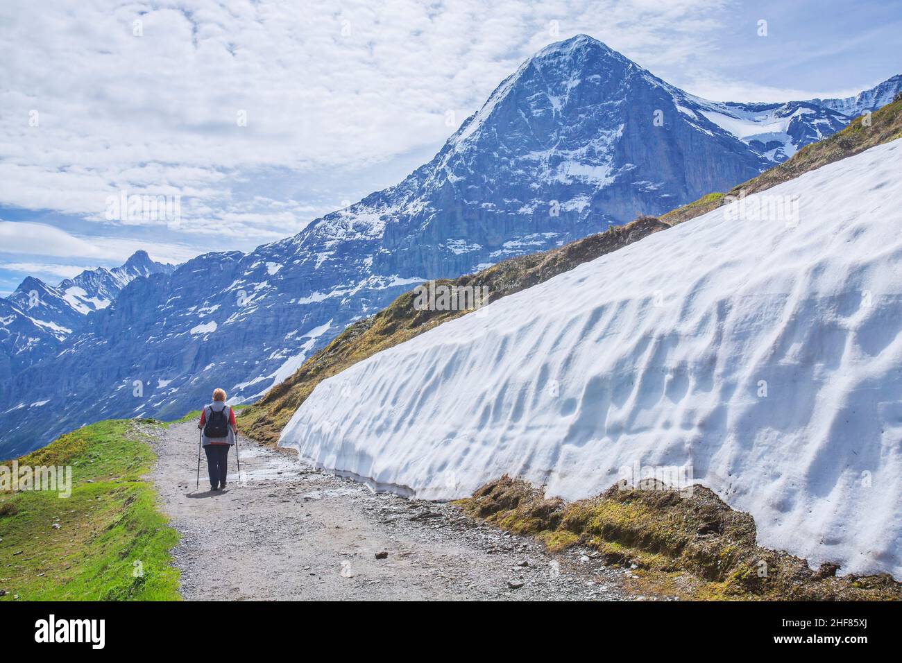 Schneereste auf dem Wanderweg nach kleine Scheidegg mit Eiger 3967m, Grindelwald, Berner Alpen, Berner Oberland, Kanton Bern, Schweiz Stockfoto