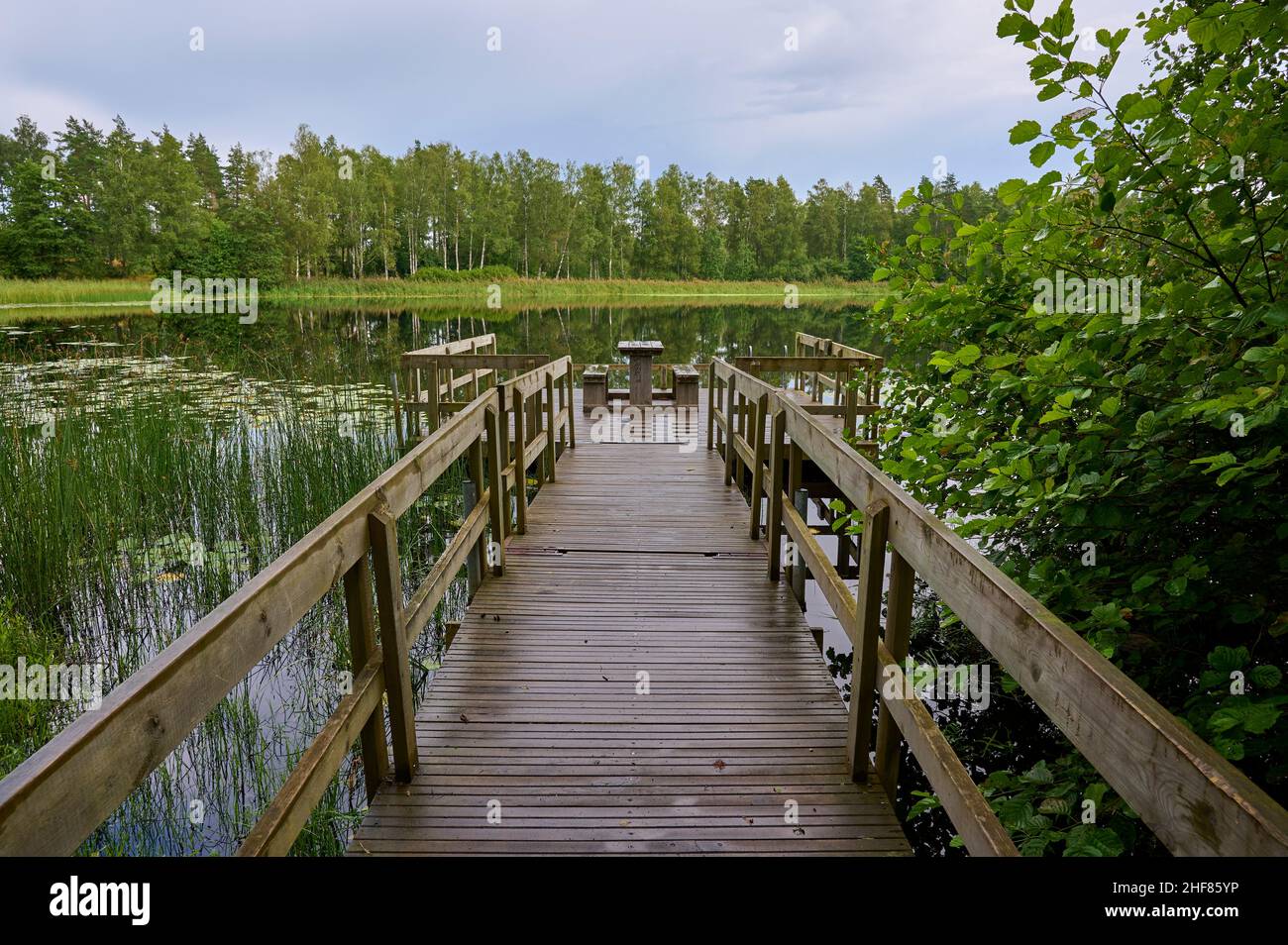 Boardwalk, See, Angeln, Wald, Sommer, Eldmörjan, Hunneberg, Vargön, Västra Götalands län, Vastra Gotaland, Schweden Stockfoto