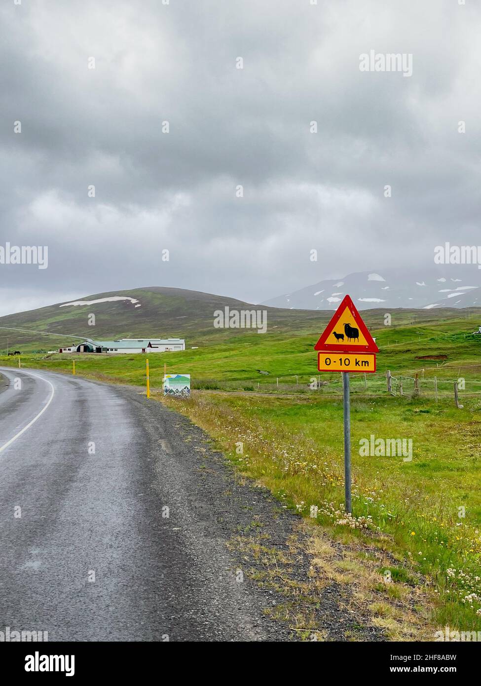 Ein Zeichen, um den Schafen auf einer Straße in Island Aufmerksamkeit zu schenken Stockfoto